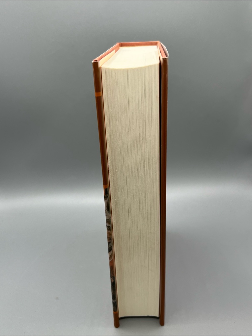 Watership Down (SparkNotes Reader's Companion) Hardcover - Picture 5 of 8